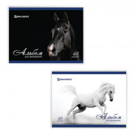 Альбом для рисования, А4, 40 листов, скоба, обложка картон, BRAUBERG, 200х283 мм, "Благородные кони" (2 вида)