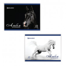 Альбом для рисования, А4, 40 листов, скоба, обложка картон, BRAUBERG, 200х283 мм, "Благородные кони" (2 вида)