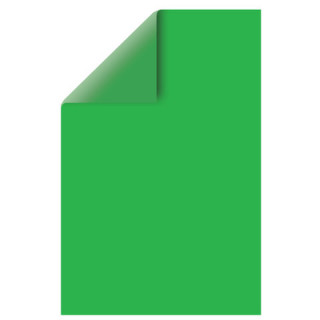 Цветной картон, А4, двусторонний, тонированный, 220 г/м2, 1 лист, зеленый интенсивный, BRAUBERG